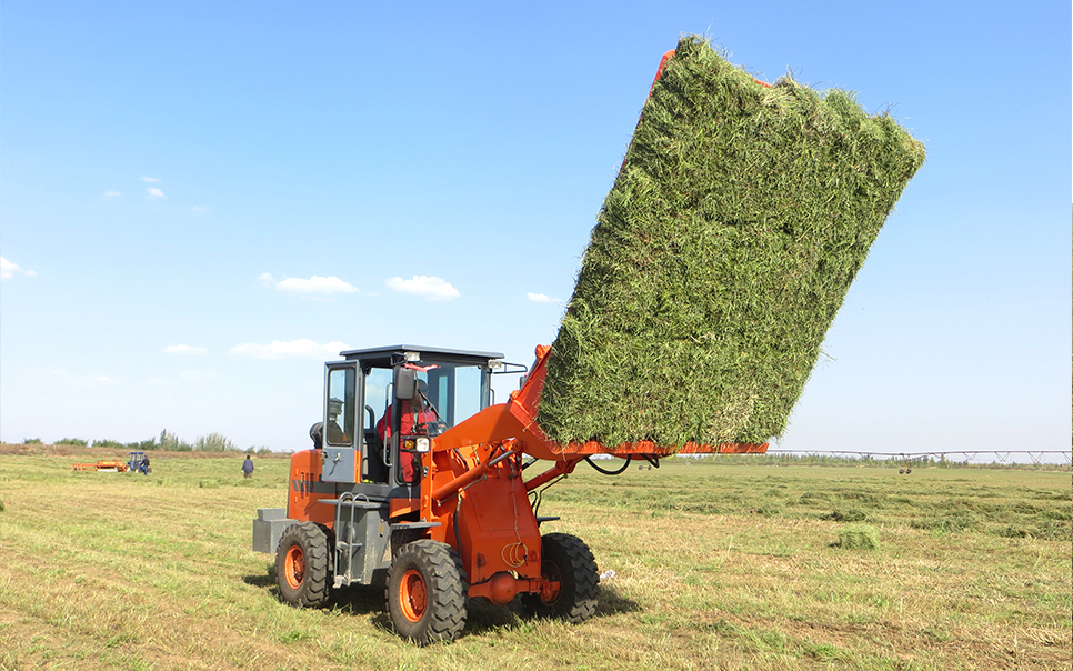 標題：9DCK-15方草捆集垛機
瀏覽次數：46
發(fā)表時間：2023-12-12