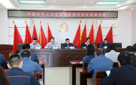 標(biāo)題：華德牧草公司召開黨員大會(huì)
瀏覽次數(shù)：1512
發(fā)表時(shí)間：2024-04-29